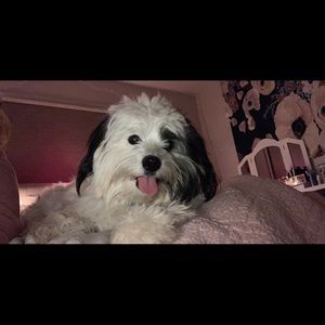 Meet your Posher, Brelyn